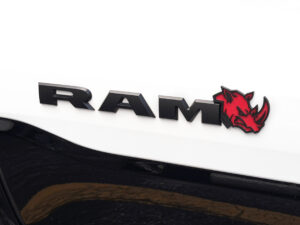 RHO Rhino Door Badges – Pair